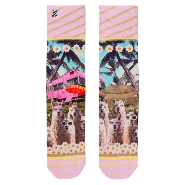 Chaussettes Femme - XPOOOS - Rose Rose 3 Chaussettes Femme - XPOOOS - Rose Rose